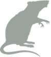 dératisation