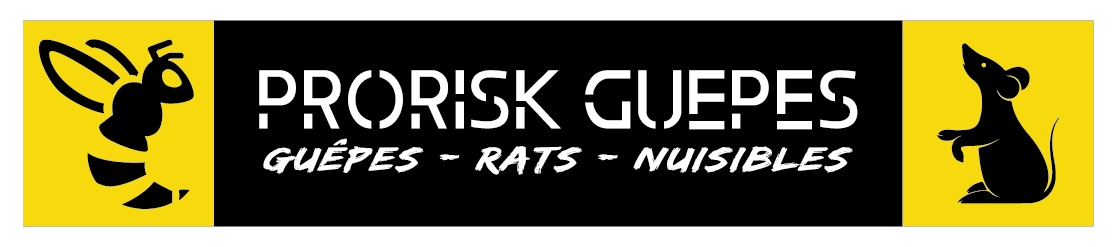 Prorisk guêpes: destruction nid de guêpes - frelons - rats - abeilles - nuisibles